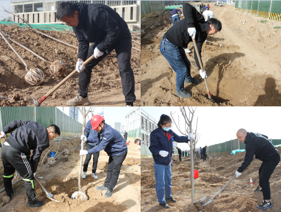 賽特公司開展“栽種新希望，奮進(jìn)新征程”植樹節(jié)主題活動